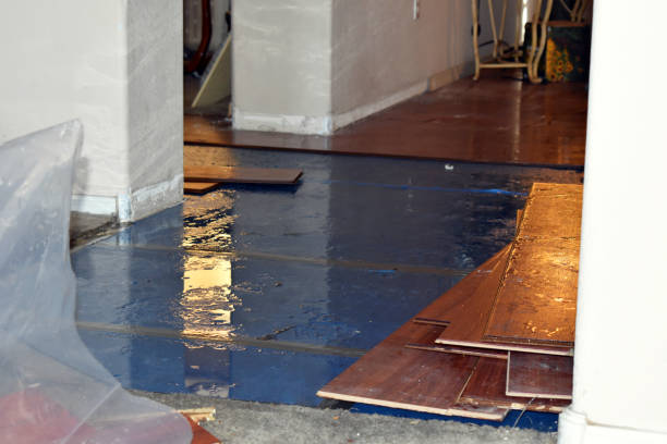 Professional Water Damage Restoration technician working in Brookville, NY